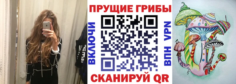 ОМГ ОМГ ссылка  купить закладку  Карачев  Псилоцибиновые грибы Psilocybe 